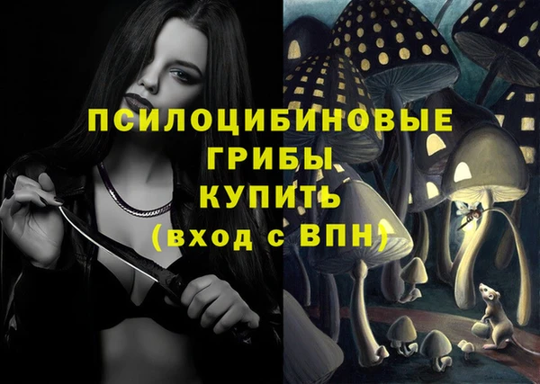 герыч Балахна